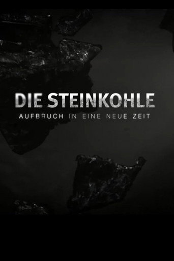 Die Steinkohle: Aufbruch in eine neue Zeit