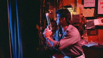 #11 Guns