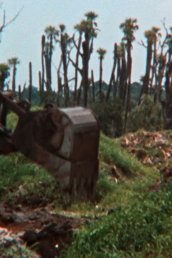 The Fabricated Wild poster