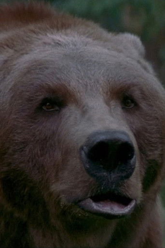 Bart the Bear — photo 2