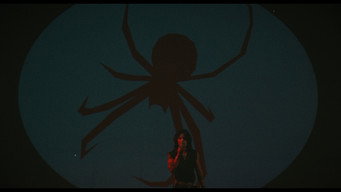 #4 REX SPIDER