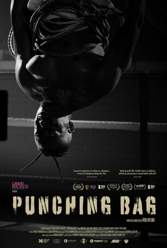 Punching Bag (2025)
