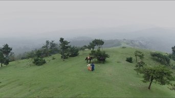 Episódio Episódio 24 da série O Florescer de uma Peônia