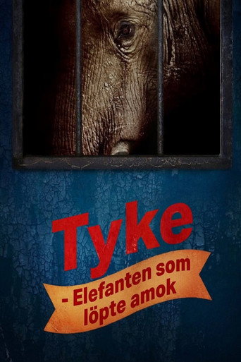 Poster 3