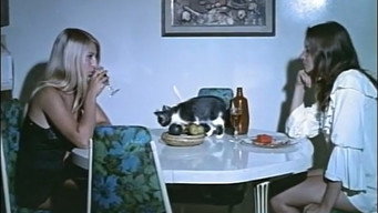 L'amour de femme (1969)