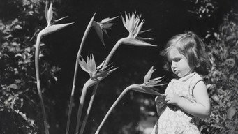The Charm & Chaos of SoCal's Botanical Landscape