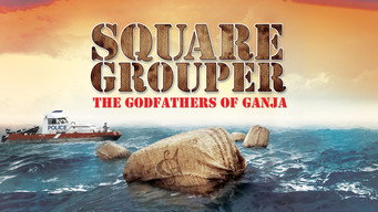 Square Grouper (2011)