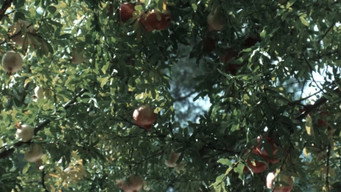 #29 Nostos: The Return