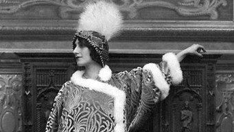 Protéa (1913)