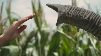 Cena de O Fim é o Começo - Parte 2