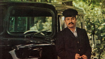 Despite Everything (1988)