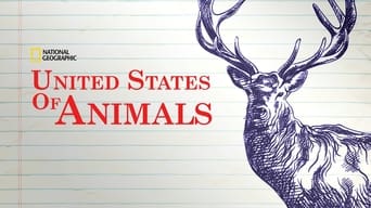 #4 United States of Animals