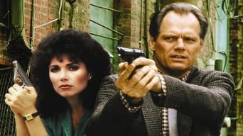 Hunter (1984-1991)