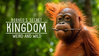 Borneo's Secret Kingdom (2016-2017)