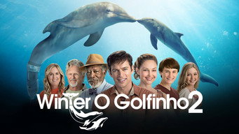 Still 2 from Dolphin Tale 2
