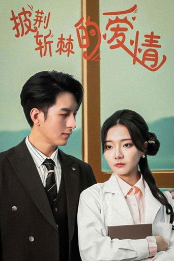 披荆斩棘的爱情 poster