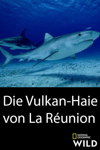 Volcano Sharks poster