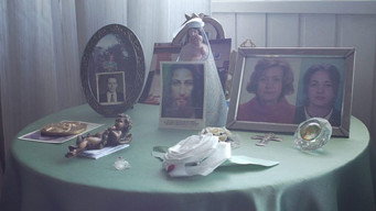 Filmei paxaros voando (2024)