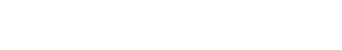 White Lies logo