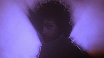 Purple Rain backdrop 5