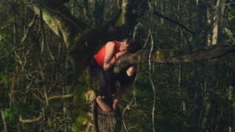 #12 Once Upon a Time in a Forest