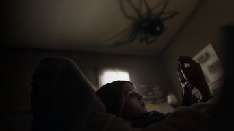 Galeria 1 - Sting. Araña asesina