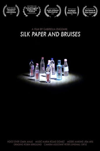 Silk Paper and Bruises poster
