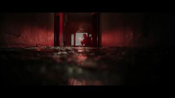 #12 Хижаки