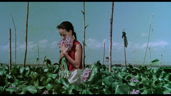 Краплина у воді (1976)
