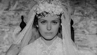 #22 The Stone Wedding