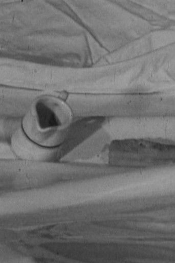 Milchk&auml;nnchen und Fischst&auml;bchen in der Antarktis (1973)