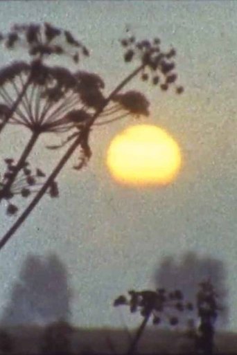 Мої вихідні (1987)