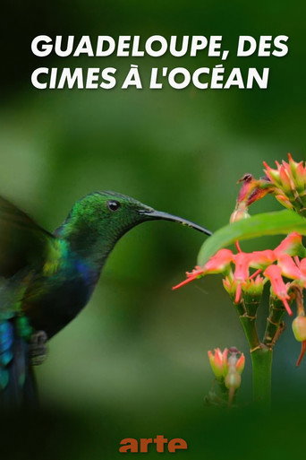 Guadeloupe, from Summits to Ocean