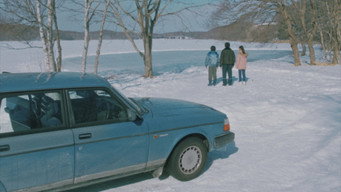 #33 Наше зимове сонце