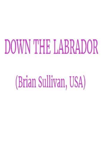 Down the Labrador