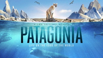 #4 Patagonia