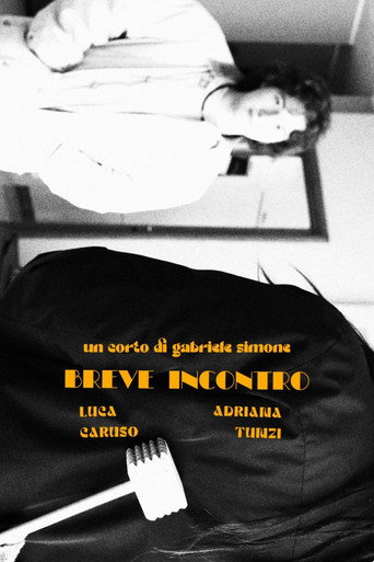 Breve incontro