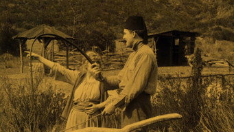 #4 The Captive