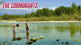 #11 The Cormorants