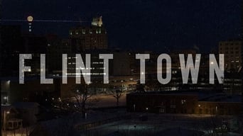 Flint Town (2018)