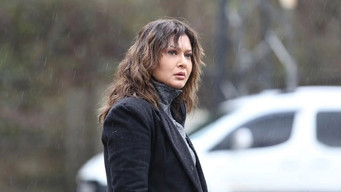 Episode 2 — Episode 2