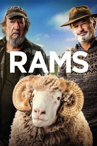 Rams Poster