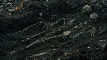 #21 Перша корова