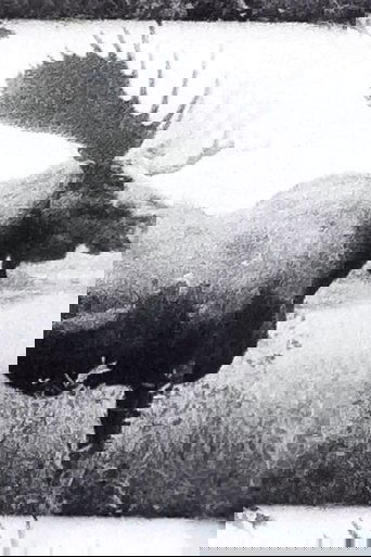 Unas bolitas de mercurio poster