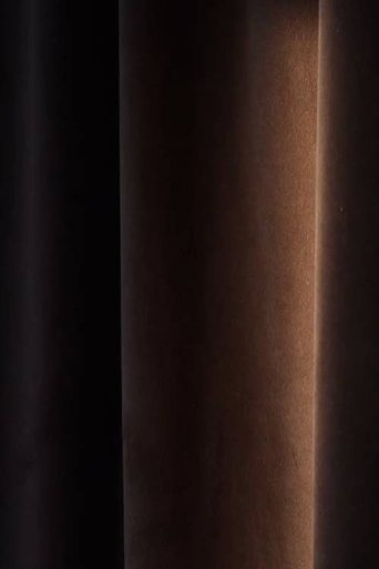 Friendship, dialogues (silences)