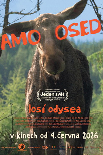 AMOOSED: losí odysea