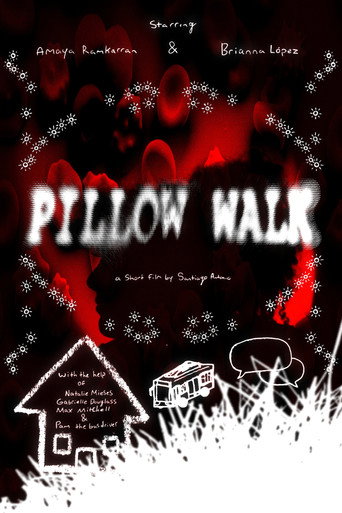 Pillow Walk poster