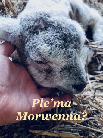 Ple'ma Morwenna?