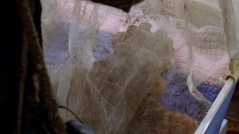 Episódio Reconhecimento da série Lost