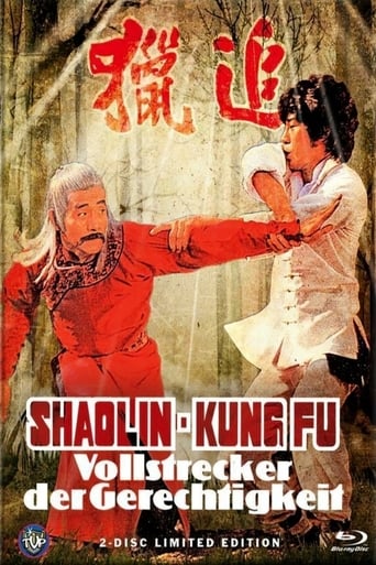 Poster of Shaolin Kung Fu Master